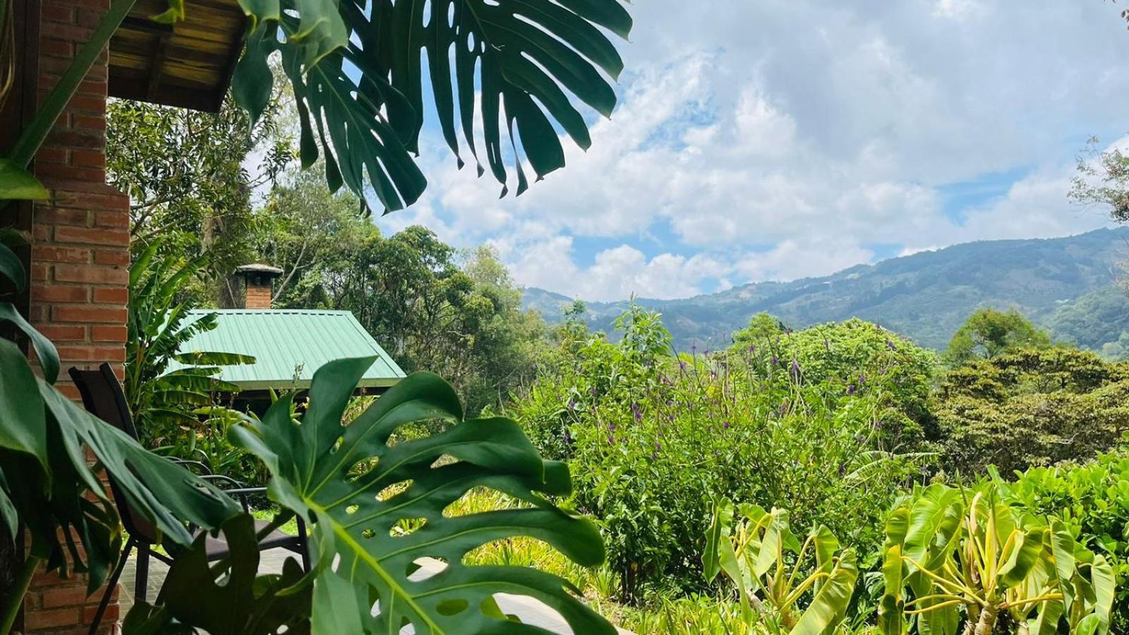 El Toucanet Lodge Copey Exterior foto